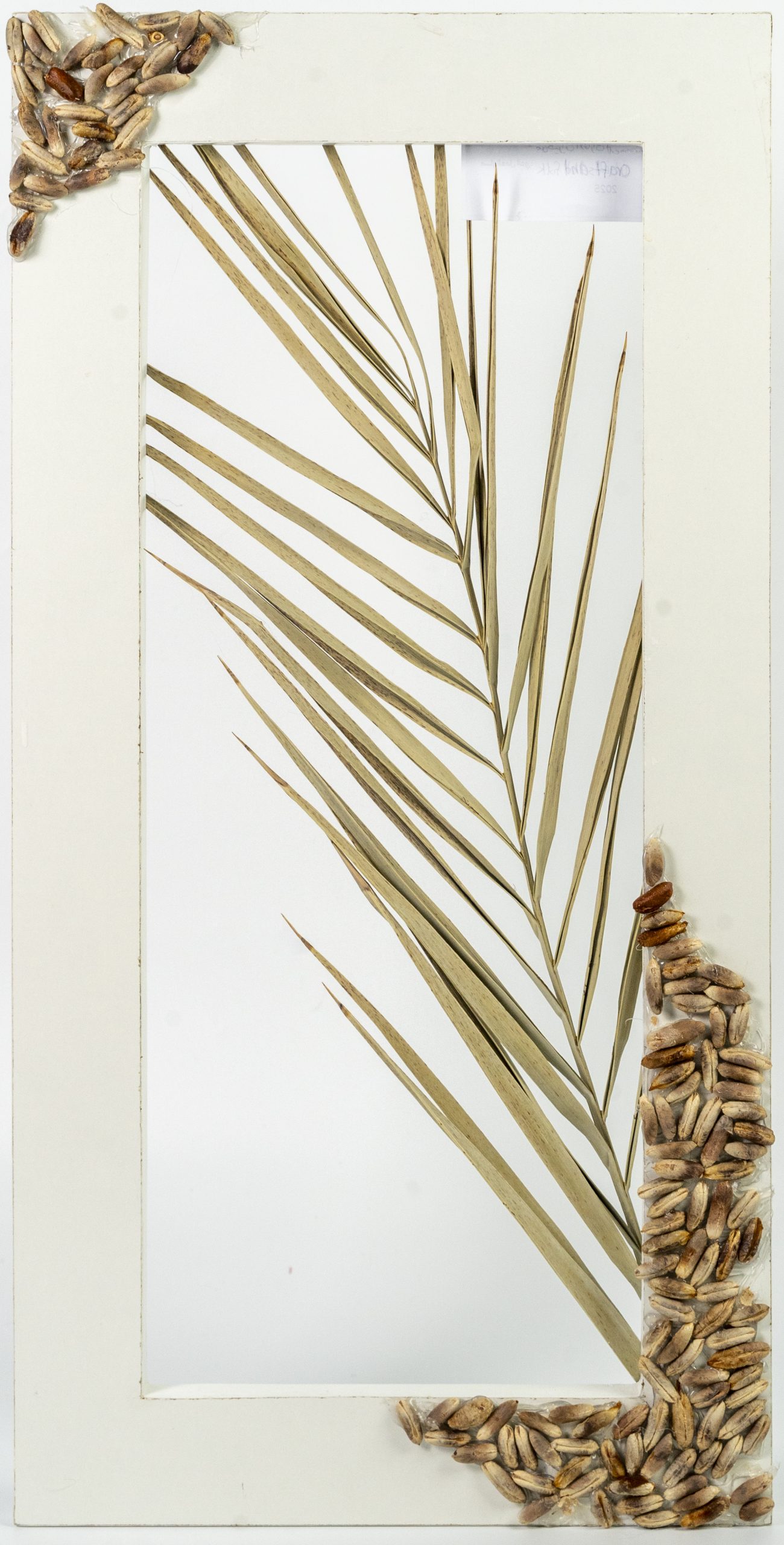 UAE's Different Environment