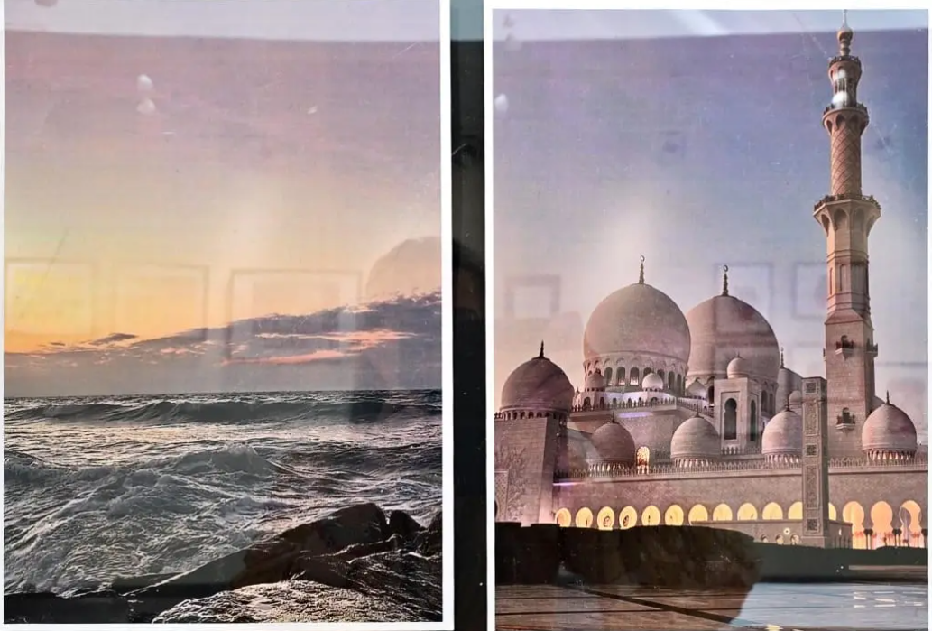 Mirrors: Between Man And Nature