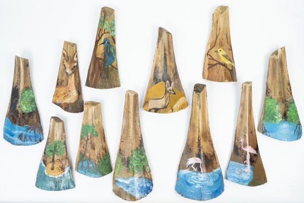 Palm Grove Collection