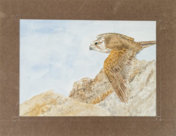 Flight Over The Cliffs