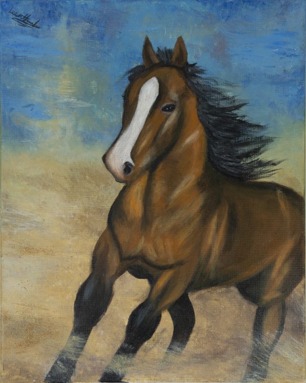 Authenticity Through Desert'S Eyes