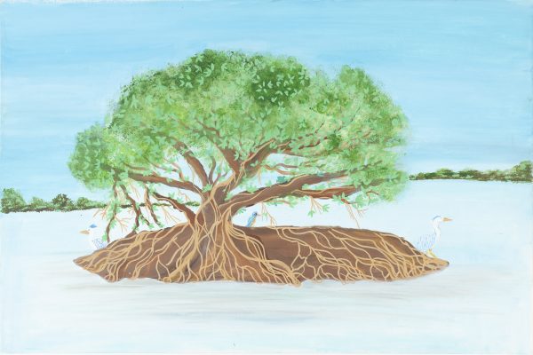 Guardians Of The Gulf: The Mangroves Of The Emirates