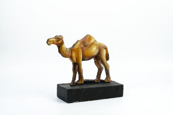 Camel