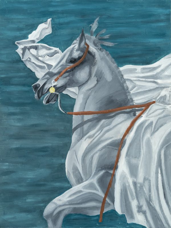 The Spirit Of The Emirati Horse