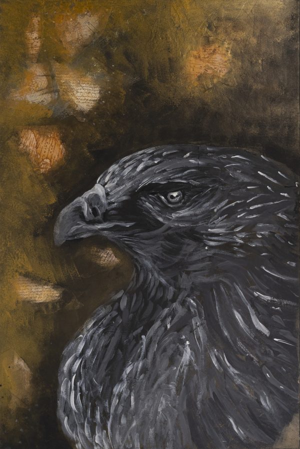 Shadow Of Sovereignty