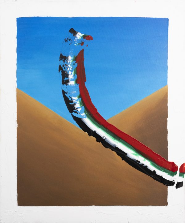 The Flag Colors In The Sky Of The Uae