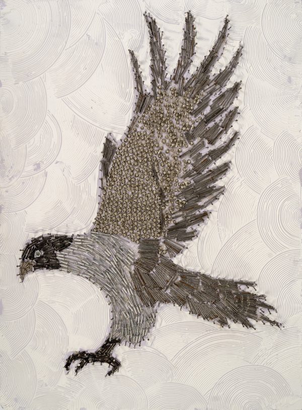 Sharpness Of A Falcon