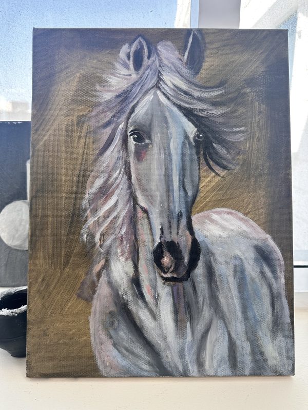 Kail - The Way We Say It In Uae As Horse